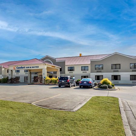 Comfort Inn & Suites Leeds I-20 Exteriör bild